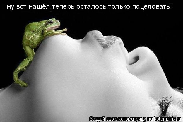 ну вот нашёл,теперь осталось только поцеловать!... Котоматрица: ну вот нашёл,теперь осталось только поцеловать!
