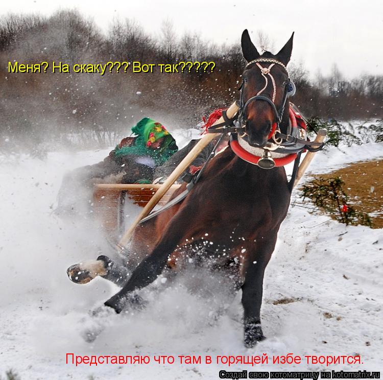 Меня? На скаку??? Вот так????? Представляю что там в горящей избе творится.... Котоматрица: Меня? На скаку??? Вот так????? Представляю что там в горящей избе творится.