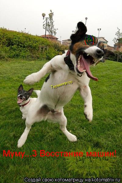 (--) Муму...3 Восстание машин! Терминатор (*) (&)... Котоматрица: (--) Муму...3 Восстание машин! Терминатор (*) (&)