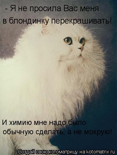 - Я не просила Вас меня в блондинку перекрашивать! обычную сделать, а не мокрую! И химию мне надо ... Котоматрица: - Я не просила Вас меня в блондинку перекрашивать! обычную сделать, а не мокрую! И химию мне надо было
