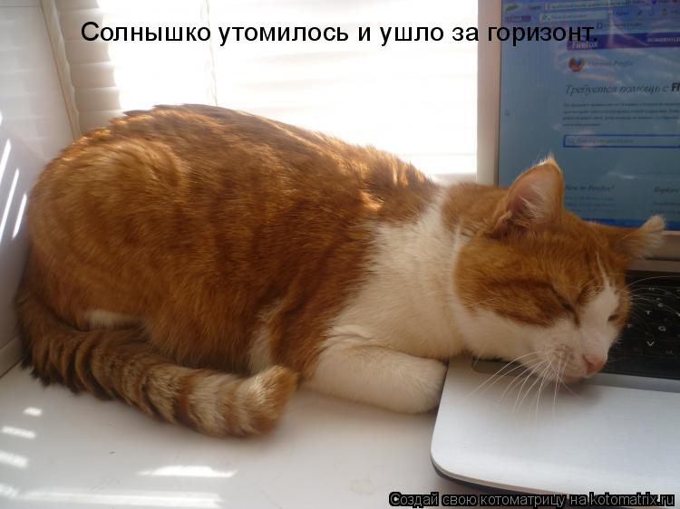 Солнышко утомилось и ушло за горизонт.... Котоматрица: Солнышко утомилось и ушло за горизонт.