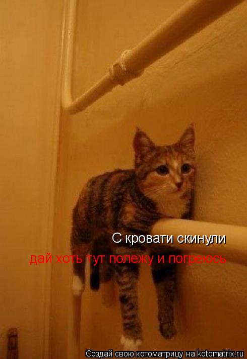 С кровати скинули дай хоть тут полежу и погреюсь... Котоматрица: С кровати скинули дай хоть тут полежу и погреюсь