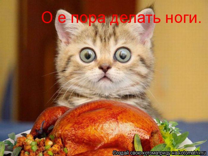 О е пора делать ноги.... Котоматрица: О е пора делать ноги.