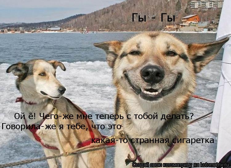 Гы - Гы Ой ё! Чего-же мне теперь с тобой делать? Говорила-же я тебе, что это какая-то странная сигар... Котоматрица: Гы - Гы Ой ё! Чего-же мне теперь с тобой делать? Говорила-же я тебе, что это какая-то странная сигаретка