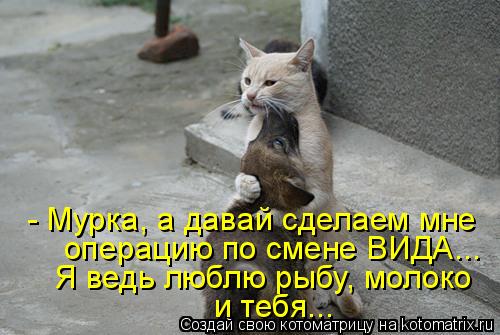 - Мурка, а давай сделаем мне операцию по смене ВИДА... Я ведь люблю рыбу, молоко и тебя...... Котоматрица: - Мурка, а давай сделаем мне операцию по смене ВИДА... Я ведь люблю рыбу, молоко и тебя...