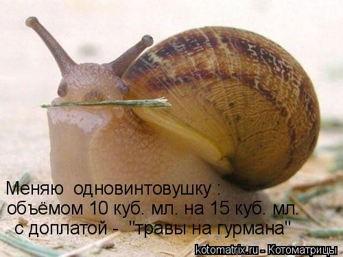 Меняю одновинтовушку : объёмом 10 куб. мл. на 15 куб. мл. с доплатой - "травы на гурмана"... Котоматрица: Меняю одновинтовушку : объёмом 10 куб. мл. на 15 куб. мл. с доплатой - "травы на гурмана"