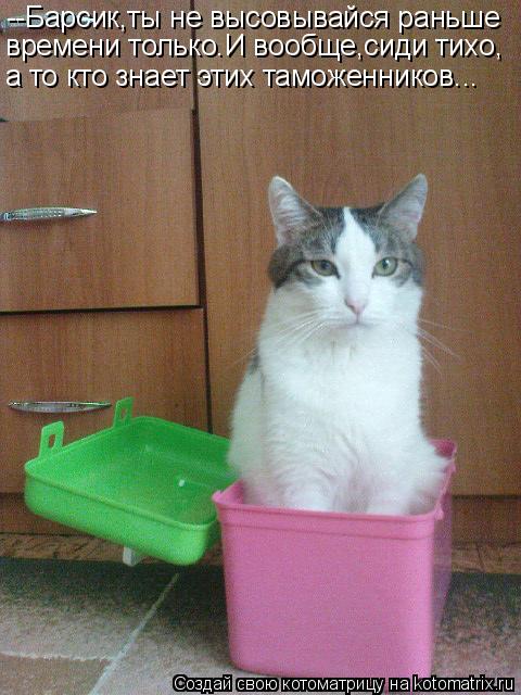 --Барсик,ты не высовывайся раньше времени только.И вообще,сиди тихо, а то кто знает этих таможенников... Котоматрица: --Барсик,ты не высовывайся раньше времени только.И вообще,сиди тихо, а то кто знает этих таможенников...