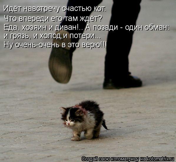 Идёт навстречу счастью кот. Что впереди его там ждёт? Еда, хозяин и диван!.. А позади - один обман: и... Котоматрица: Идёт навстречу счастью кот. Что впереди его там ждёт? Еда, хозяин и диван!.. А позади - один обман: и грязь, и холод,и потери... Ну очень-очень в э
