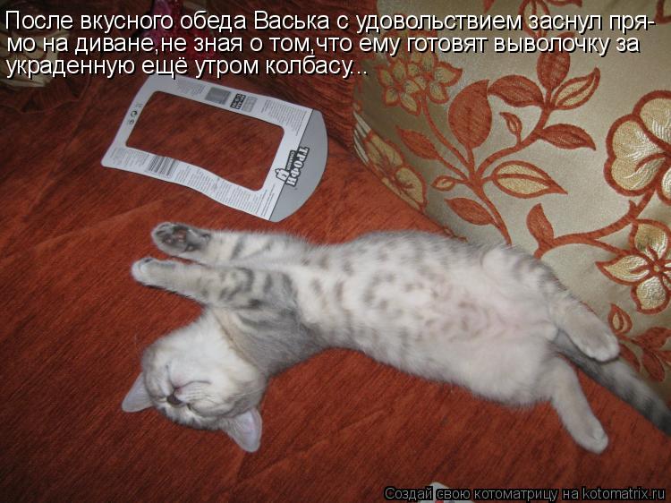 После вкусного обеда Васька с удовольствием заснул пря- мо на диване,не зная о том,что ему готовят вы... Котоматрица: После вкусного обеда Васька с удовольствием заснул пря- мо на диване,не зная о том,что ему готовят выволочку за украденную ещё утром колбас