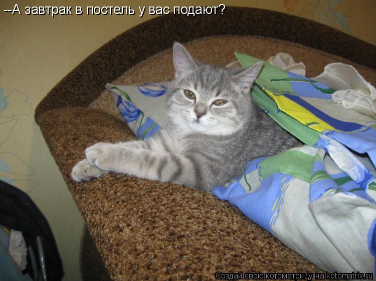 --А завтрак в постель у вас подают?... Котоматрица: --А завтрак в постель у вас подают?