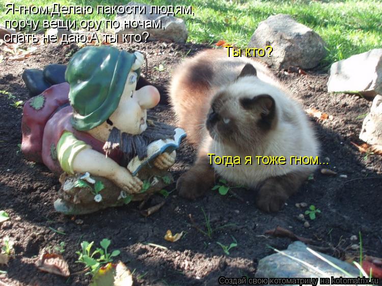 Ты кто? Я-гном.Делаю пакости людям, порчу вещи,ору по ночам, спать не даю.А ты кто? Тогда я тоже гном... Котоматрица: Ты кто? Я-гном.Делаю пакости людям, порчу вещи,ору по ночам, спать не даю.А ты кто? Тогда я тоже гном...