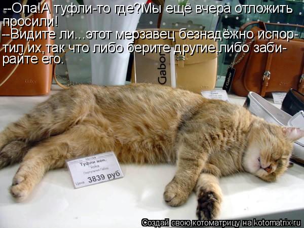 --Опа!А туфли-то где?Мы ещё вчера отложить просили! --Видите ли...этот мерзавец безнадёжно испор- тил... Котоматрица: --Опа!А туфли-то где?Мы ещё вчера отложить просили! --Видите ли...этот мерзавец безнадёжно испор- тил их,так что либо берите другие,либо заби- р