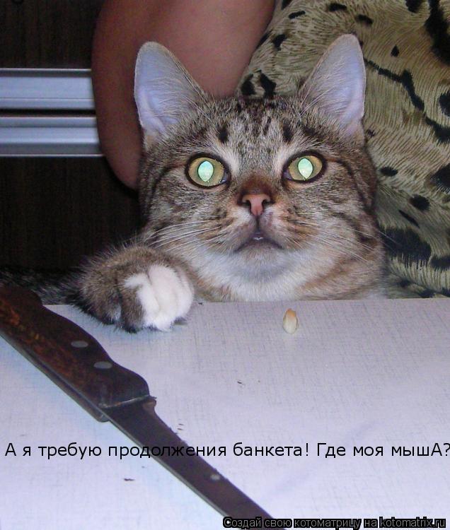 А я требую продолжения банкета! Где моя мышА?... Котоматрица: А я требую продолжения банкета! Где моя мышА?