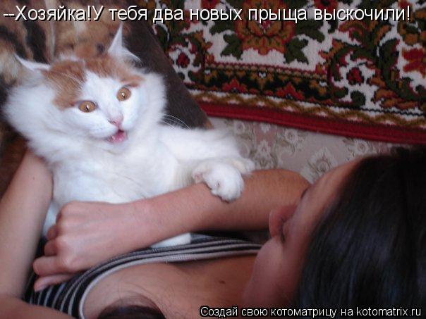 --Хозяйка!У тебя два новых прыща выскочили!... Котоматрица: --Хозяйка!У тебя два новых прыща выскочили!