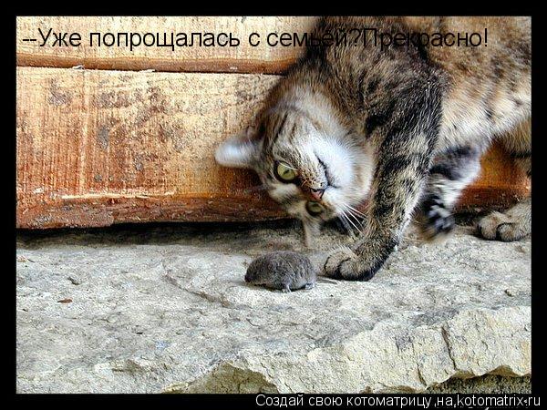 --Уже попрощалась с семьёй?Прекрасно!... Котоматрица: --Уже попрощалась с семьёй?Прекрасно!