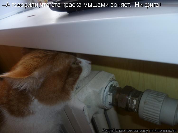 --А говорили,что эта краска мышами воняет...Ни фига!... Котоматрица: --А говорили,что эта краска мышами воняет...Ни фига!