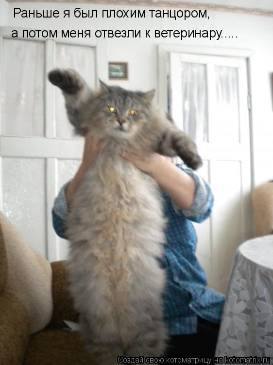 Раньше я был плохим танцором, а потом меня отвезли к ветеринару........ Котоматрица: Раньше я был плохим танцором, а потом меня отвезли к ветеринару.....