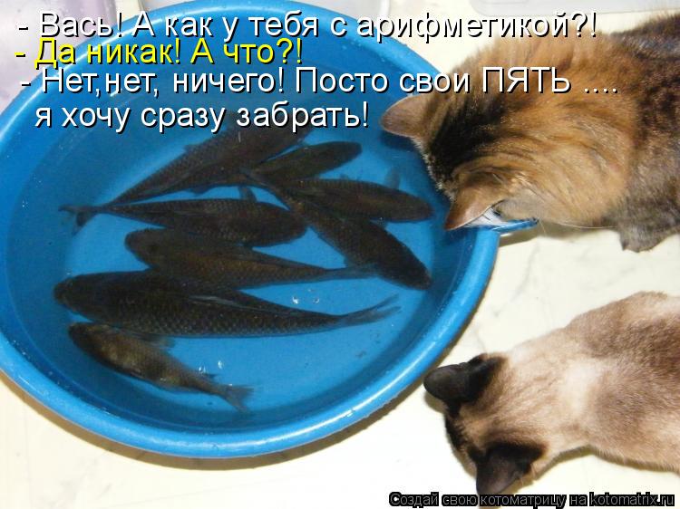 Котоматрица: - Да никак! А что?! - Вась! А как у тебя с арифметикой?! - Нет,нет, ничего! Посто свои ПЯТЬ .... я хочу сразу забрать!