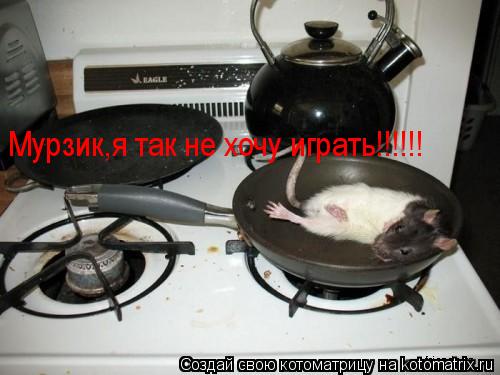 Мурзик,я так не хочу играть!!!!!!... Котоматрица: Мурзик,я так не хочу играть!!!!!!