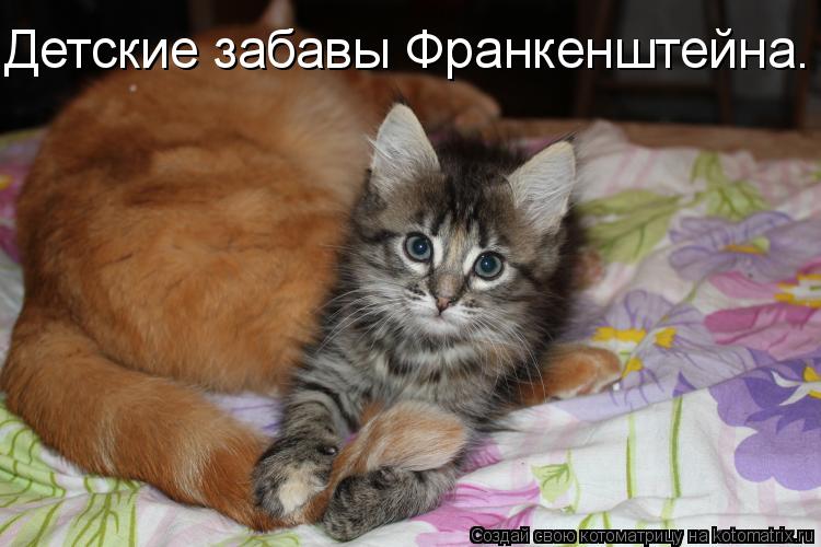 Детские забавы Франкенштейна.... Котоматрица: Детские забавы Франкенштейна.