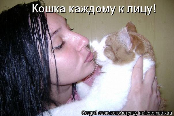 Кошка каждому к лицу!... Котоматрица: Кошка каждому к лицу!