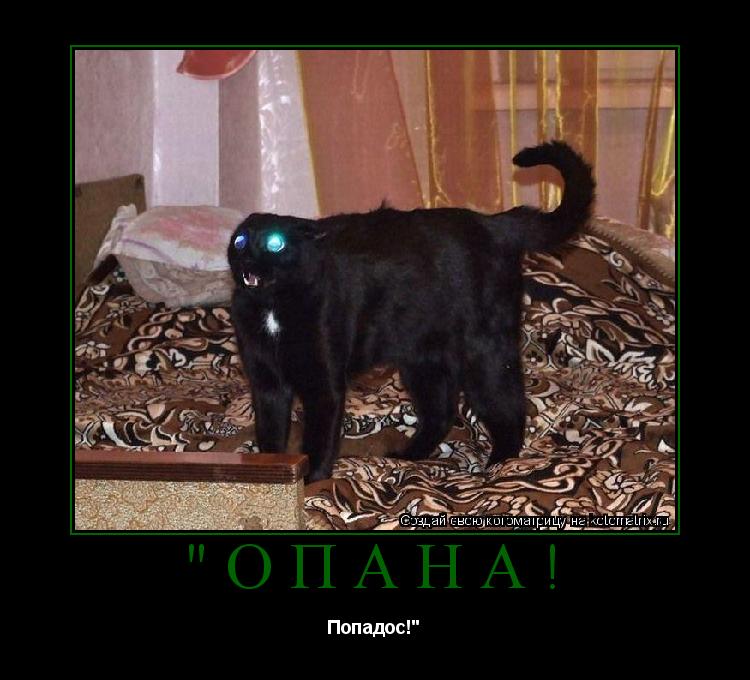 "Опана! Попадос!"... Котоматрица: "Опана! Попадос!"