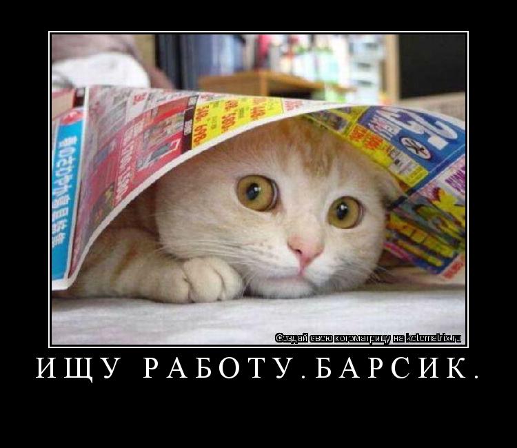 ИЩУ РАБОТУ.БАРСИК. ... Котоматрица: ИЩУ РАБОТУ.БАРСИК.