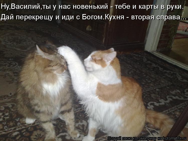 Котоматрица: Ну,Василий,ты у нас новенький - тебе и карты в руки. Дай перекрещу и иди с Богом.Кухня - вторая справа...