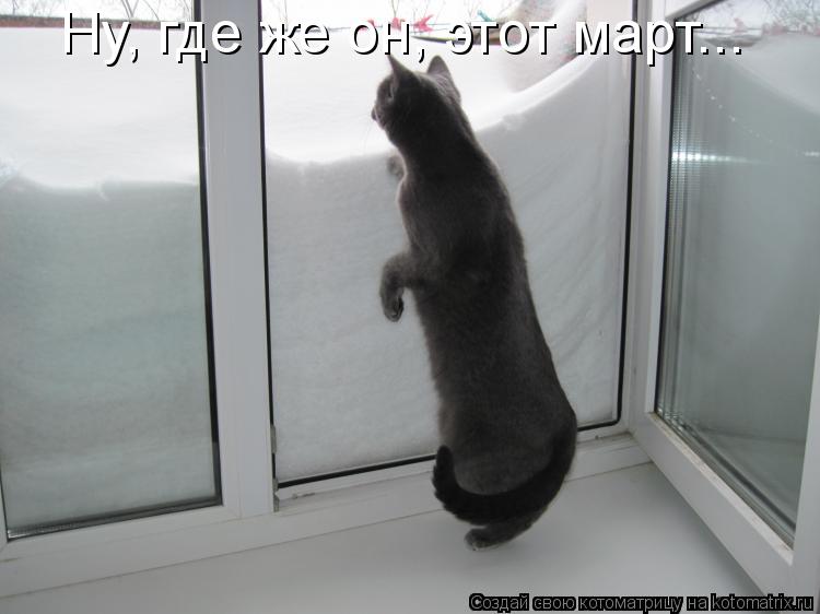 Котоматрица: Ну, где же он, этот март...