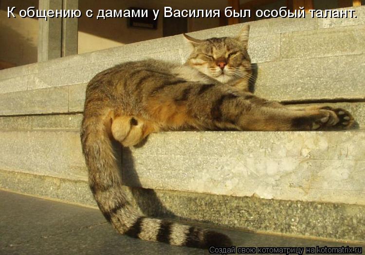 К общению с дамами у Василия был особый талант.... Котоматрица: К общению с дамами у Василия был особый талант.