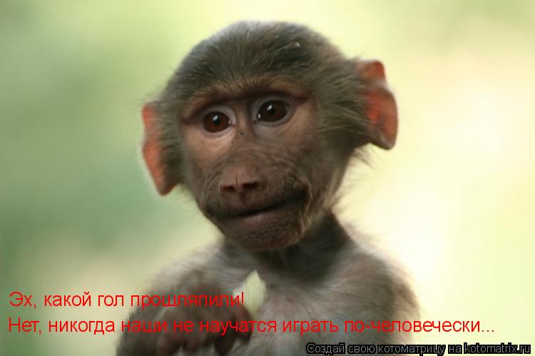 Эх, какой гол прошляпили! Нет, никогда наши не научатся играть по-человечески...... Котоматрица: Эх, какой гол прошляпили! Нет, никогда наши не научатся играть по-человечески...