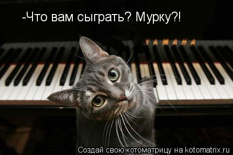 -Что вам сыграть? Мурку?!... Котоматрица: -Что вам сыграть? Мурку?!