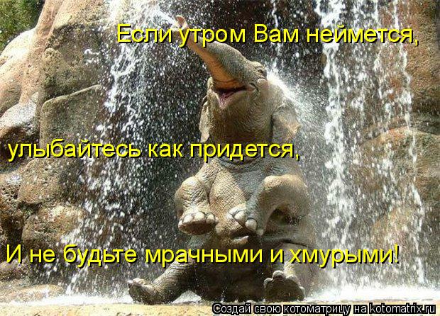 Если утром Вам неймется, улыбайтесь как придется, И не будьте мрачными и хмурыми!... Котоматрица: Если утром Вам неймется, улыбайтесь как придется, И не будьте мрачными и хмурыми!