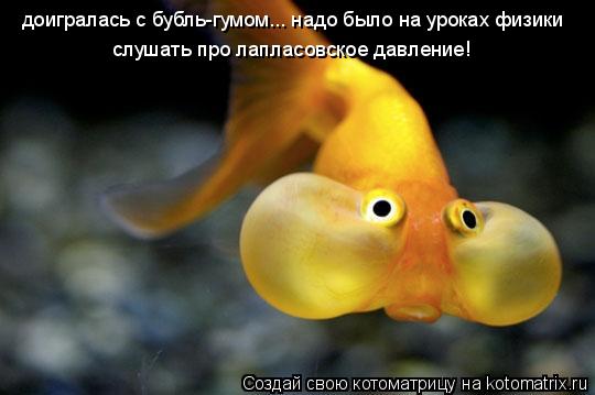 доигралась с бубль-гумом... надо было на уроках физики слушать про лапласовское давление!... Котоматрица: доигралась с бубль-гумом... надо было на уроках физики слушать про лапласовское давление!