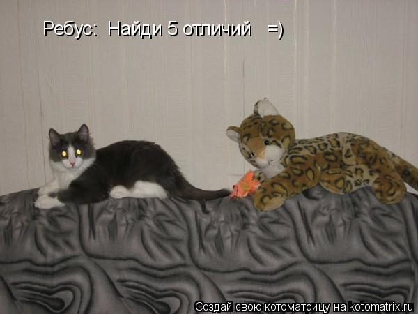 Ребус: Найди 5 отличий =)... Котоматрица: Ребус: Найди 5 отличий =)