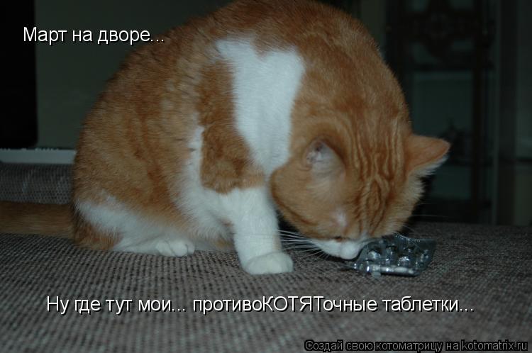 Ну где тут мои... противоКОТЯТочные таблетки... Март на дворе...... Котоматрица: Ну где тут мои... противоКОТЯТочные таблетки... Март на дворе...