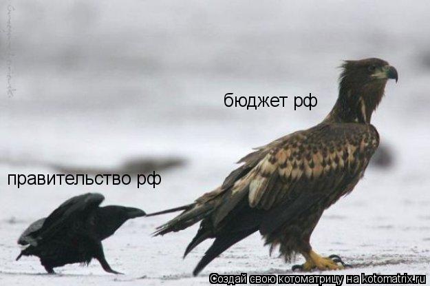 правительство рф бюджет рф... Котоматрица: правительство рф бюджет рф