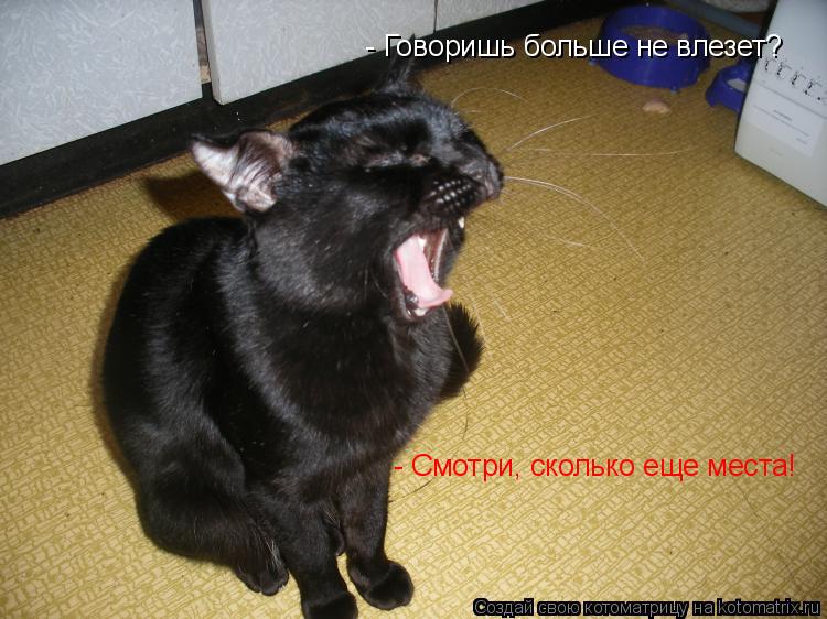 - Говоришь больше не влезет? - Смотри, сколько еще места!... Котоматрица: - Говоришь больше не влезет? - Смотри, сколько еще места!