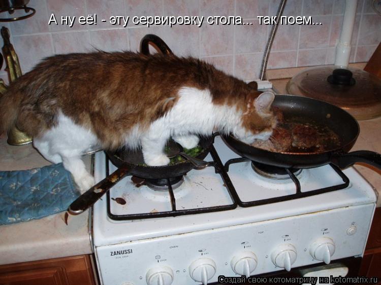 А ну её! - эту сервировку стола... так поем...... Котоматрица: А ну её! - эту сервировку стола... так поем...
