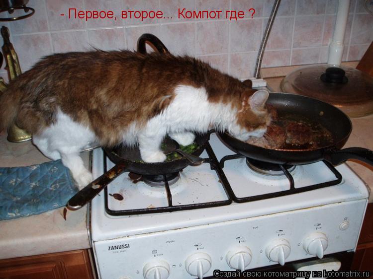 - Первое, второе... Компот где ?... Котоматрица: - Первое, второе... Компот где ?