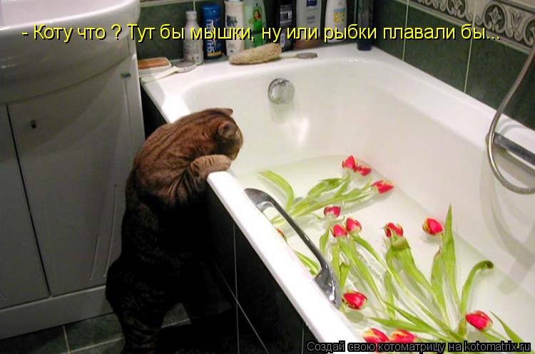 - Коту что ? Тут бы мышки, ну или рыбки плавали бы...... Котоматрица: - Коту что ? Тут бы мышки, ну или рыбки плавали бы...