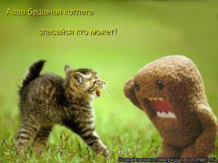 Аааа бешаная котлета спасайся кто может !... Котоматрица: Аааа бешаная котлета спасайся кто может !