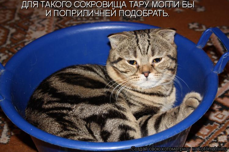 ДЛЯ ТАКОГО СОКРОВИЩА ТАРУ МОГЛИ БЫ И ПОПРИЛИЧНЕЙ ПОДОБРАТЬ.... Котоматрица: ДЛЯ ТАКОГО СОКРОВИЩА ТАРУ МОГЛИ БЫ И ПОПРИЛИЧНЕЙ ПОДОБРАТЬ.