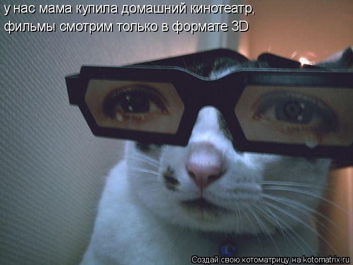 у нас мама купила домашний кинотеатр, фильмы смотрим только в формате 3D... Котоматрица: у нас мама купила домашний кинотеатр, фильмы смотрим только в формате 3D
