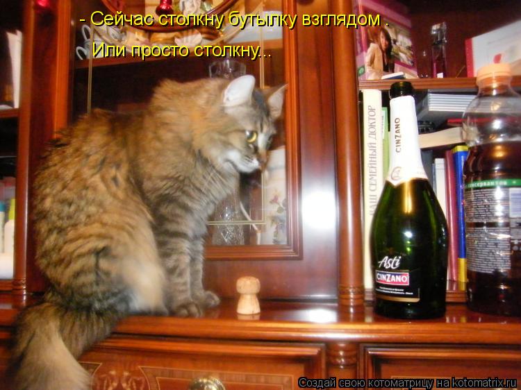 - Сейчас столкну бутылку взглядом . Или просто столкну...... Котоматрица: - Сейчас столкну бутылку взглядом . Или просто столкну...