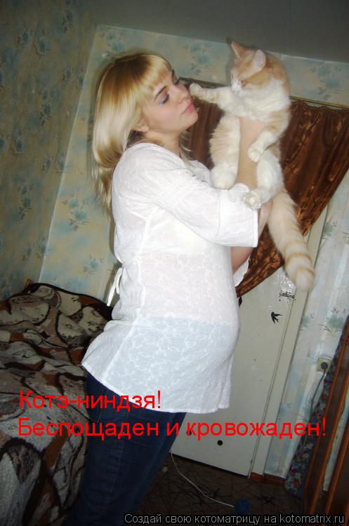 Котэ-ниндзя! Котэ-ниндзя! Беспощаден и кровожаден!... Котоматрица: Котэ-ниндзя! Котэ-ниндзя! Беспощаден и кровожаден!