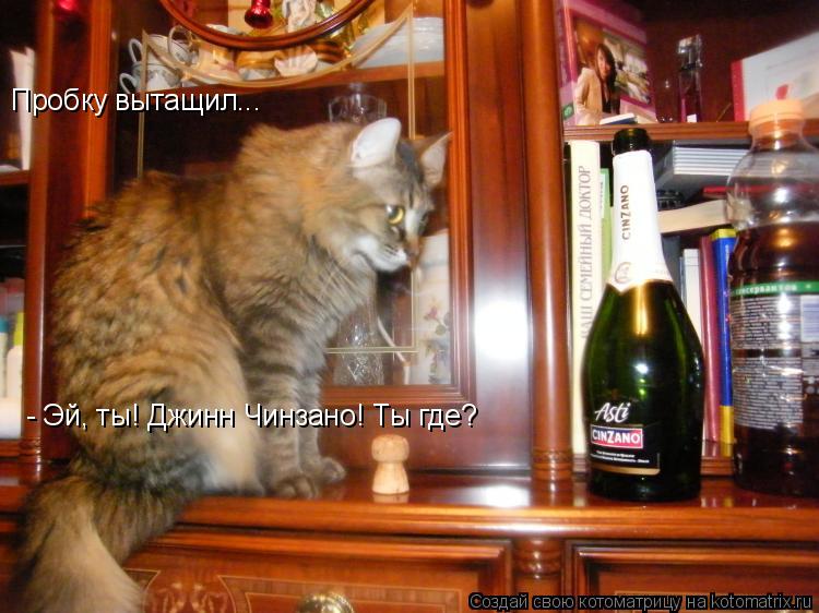 Пробку вытащил... - Эй, ты! Джинн Чинзано! Ты где?... Котоматрица: Пробку вытащил... - Эй, ты! Джинн Чинзано! Ты где?