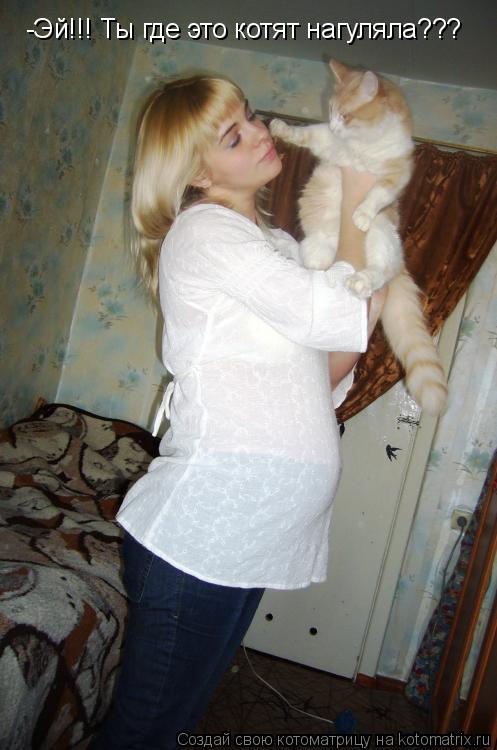 -Эй!!! Ты где это котят нагуляла???... Котоматрица: -Эй!!! Ты где это котят нагуляла???