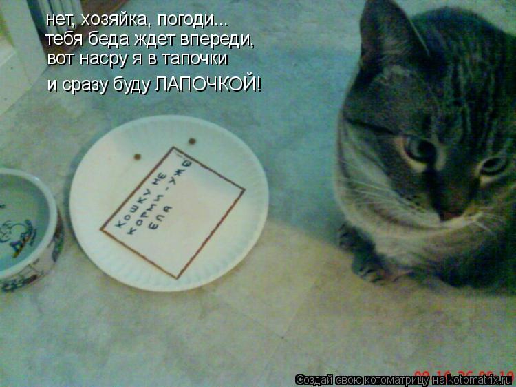 нет, хозяйка, погоди... тебя беда ждет впереди, вот насру я в тапочки и сразу буду ЛАПОЧКОЙ!... Котоматрица: нет, хозяйка, погоди... тебя беда ждет впереди, вот насру я в тапочки и сразу буду ЛАПОЧКОЙ!