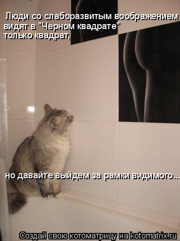 Люди со слаборазвитым воображением видят в "Черном квадрате" только квадрат, но давайте выйдем за ра... Котоматрица: Люди со слаборазвитым воображением видят в "Черном квадрате" только квадрат, но давайте выйдем за рамки видимого...